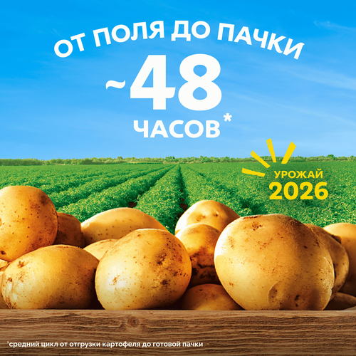 Чипсы картофельные LAY'S Белые грибы со сметаной, 105г, крупный план
