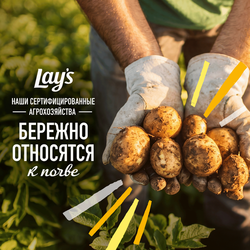 Чипсы картофельные LAY'S Белые грибы со сметаной, 105г, детальное фото