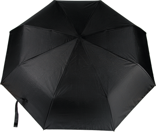 Зонт мужской RAINDROPS суперавтомат, Арт. RDL13840, фотография