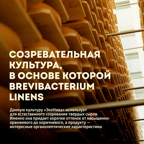 Сыр твердый ЭКОНИВА Дюрр Классика Dürr Classic 3 месяца 50%, без змж, весовой, вид