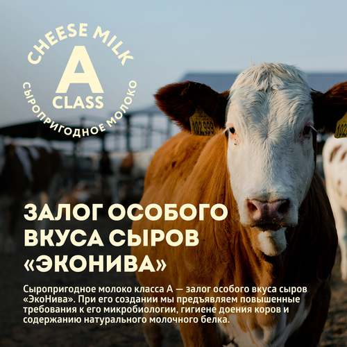 Сыр твердый ЭКОНИВА Дюрр Классика Dürr Classic 3 месяца 50%, без змж, весовой, картинка
