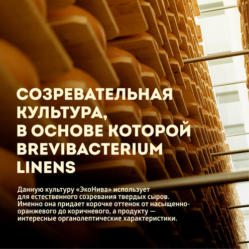 Сыр твердый ЭКОНИВА Дюрр Классика Dürr Classic 3 месяца 50%, без змж, 200г, крупный план