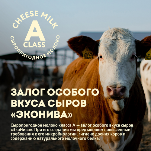 Сыр твердый ЭКОНИВА Дюрр Классика Dürr Classic 3 месяца 50%, без змж, 200г, фотография