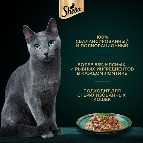 Корм консервированный для взрослых кошек SHEBA Nature's Collection с лососем и горохом, 75г, крупный план