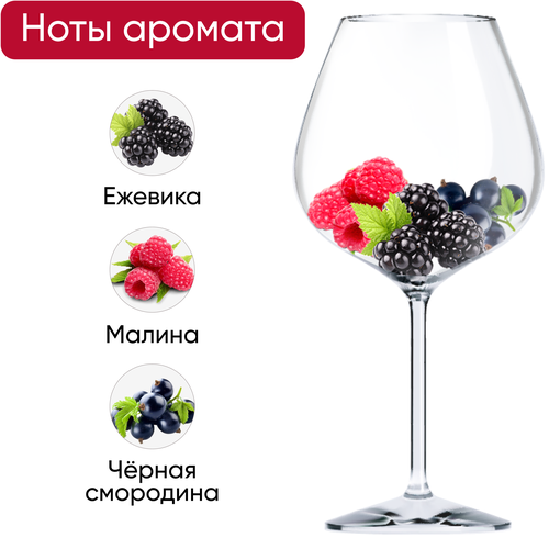 Вино AFRIKAA PARK Шираз ординарное сортовое красное сухое, 0.75л, детальное фото