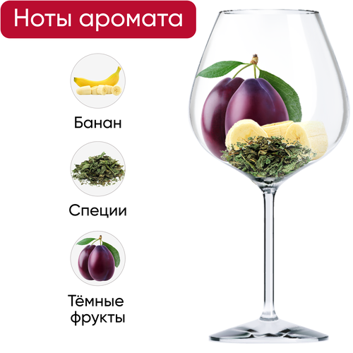 Вино MASSAI Пинотаж Веллингтон ординарное сортовое красное сухое, 0.75л, картинка