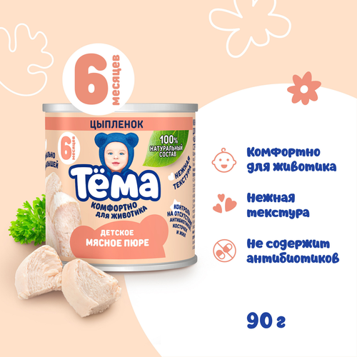 Пюре мясное ТЕМА Цыпленок, с 6 месяцев, 90г, вид