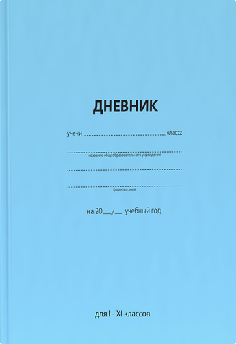Дневник для младшей школы, вид