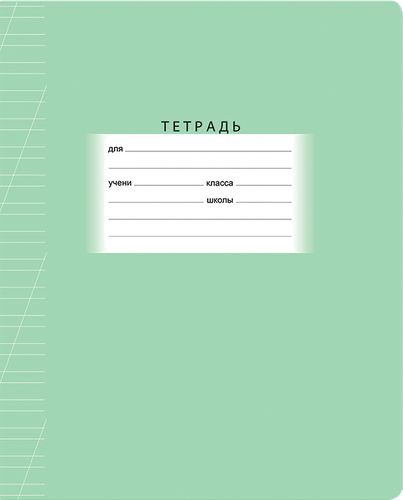 Тетрадь BG Школьная, 12 листов, косая в линейку, вид
