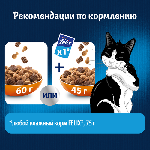 Корм сухой для взрослых кошек FELIX Двойная вкуснятина с птицей, 600г, вид