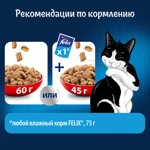 Корм сухой для взрослых кошек FELIX Двойная вкуснятина с говядиной, 200г, картинка