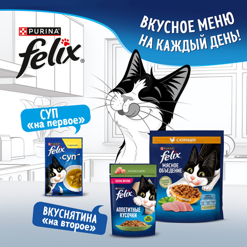 Корм сухой для взрослых кошек FELIX Двойная вкуснятина с говядиной, 600г, картинка
