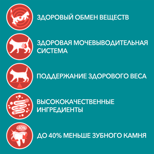 Корм влажный для взрослых кошек PURINA ONE Говядина и морковь, для стерилизованных, 75г, вид