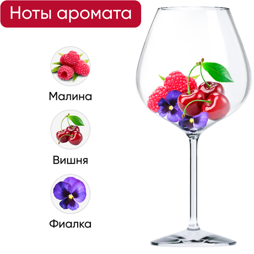 Вино TORNEO Мальбек Мендоса ординарное сортовое красное полусухое, 0.75л, фото