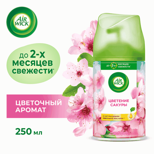 Баллон сменный для автоматического освежителя воздуха AIR WICK Freshmatic Цветущая сакура, 250мл, детальное фото