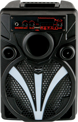 Акустическая система LENTEL Арт. C-BWS056, изображение