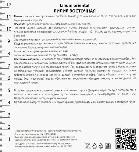 Луковица ПОИСК Лилия, в капере, в ассортименте, фотография