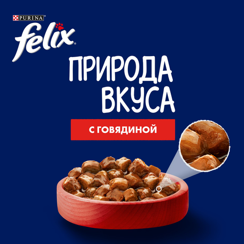 Корм влажный для взрослых кошек FELIX Природа вкуса Говядина в соусе, 75г, картинка