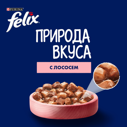 Корм влажный для взрослых кошек FELIX Природа вкуса Лосось в соусе, 75г, вид