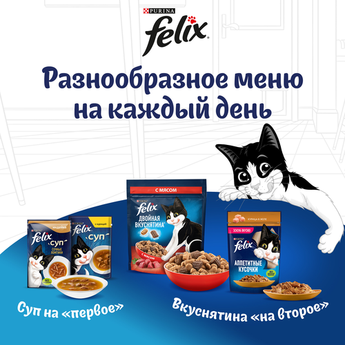 Корм влажный для взрослых кошек FELIX Природа вкуса Лосось в соусе, 75г, крупный план