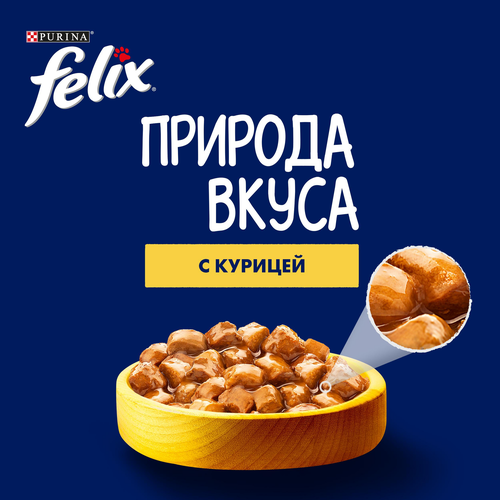 Корм влажный для взрослых кошек FELIX Природа вкуса Курица в соусе, 75г, фотография