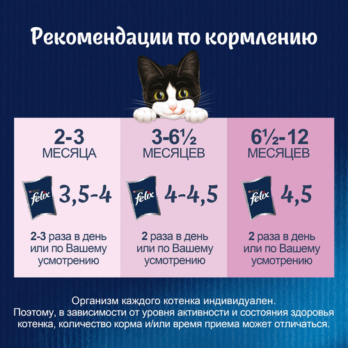 Корм влажный для котят FELIX Аппетитные кусочки Курица в желе, 75г, фотография