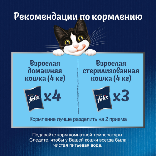 Корм влажный для взрослых кошек FELIX Sensations Индейка в соусе со вкусом бекона, 75г, фото
