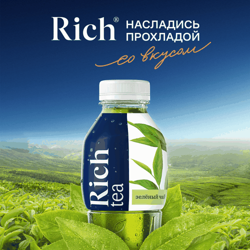 Напиток Rich Зеленый чай, 500мл, вид