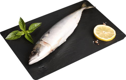 Скумбрия замороженная неразделанная ЛЕНТА FRESH, весовая, детальное фото