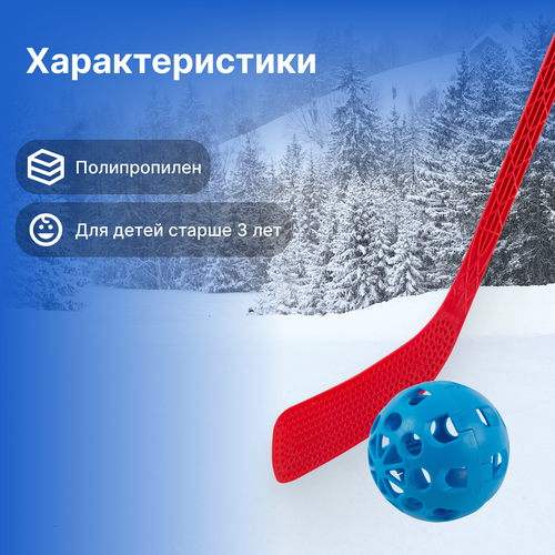 Набор для игры в хоккей АЛЬТ-ПЛАСТ АП209, Арт. 998452, картинка
