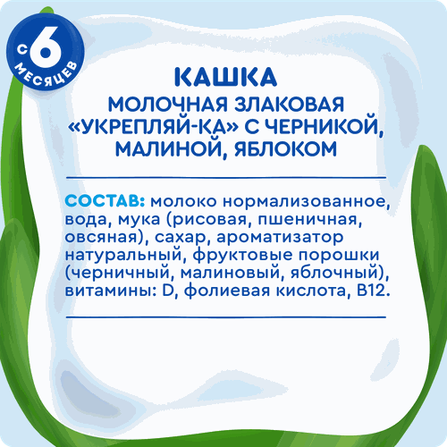 Каша злаковая детская АГУША Укрепляй-ка, молочная с черникой, малиной и яблоком 2,7%, с 6 месяцев, 200мл, вид
