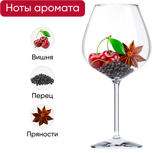 Вино PAVONERO Примитиво ди Мандурия сортовое выдержанное красное полусухое, 0.75л, фото