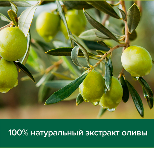 Жидкое мыло PALMOLIVE Натурэль Интенсивное увлажнение Олива и увлажняющее молочко, 300мл, фото