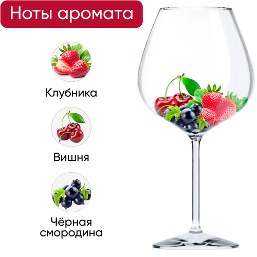 Вино CHATEAU SAINTONGEY Bordeaux красное сухое, 0.75л, фотография