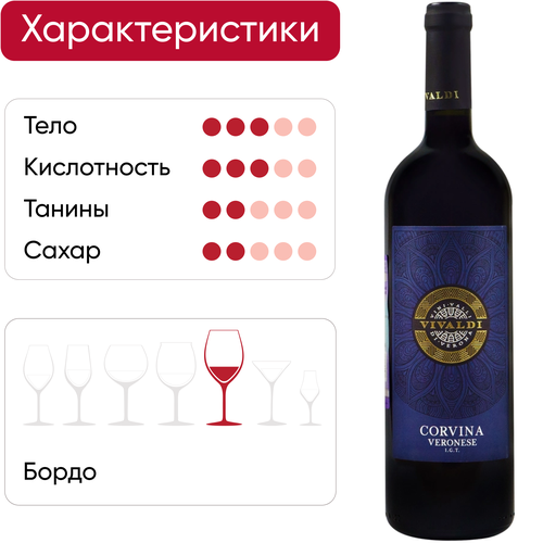 Вино VIVALDI Corvina Veronese сортовое ординарное красное полусухое, 0.75л, детальное фото