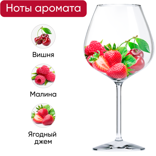 Вино VIVALDI Bardolino ординарное красное сухое, 0.75л, детальное фото
