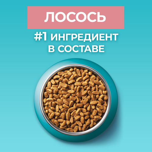 Корм сухой для взрослых кошек PURINA ONE для стерилизованных, с лососем, 9,75кг, изображение