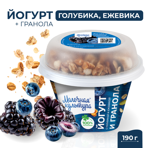 Йогурт МОЛОЧНАЯ КУЛЬТУРА с голубикой и ежевикой с гранолой и изюмом 2,7–3,5%, без змж, 190г, изображение