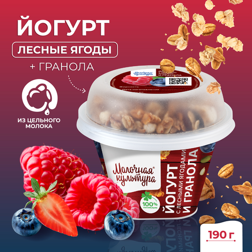 Йогурт МОЛОЧНАЯ КУЛЬТУРА с лесными ягодами с гранолой и изюмом 2,7–3,5%, без змж, 190г, изображение