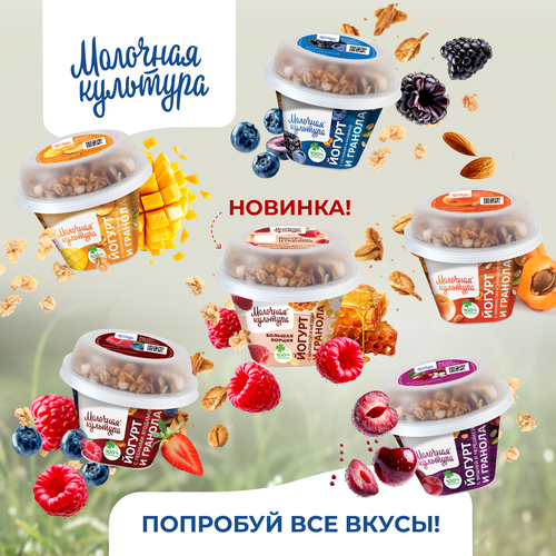Йогурт МОЛОЧНАЯ КУЛЬТУРА с лесными ягодами с гранолой и изюмом 2,7–3,5%, без змж, 190г, фотография