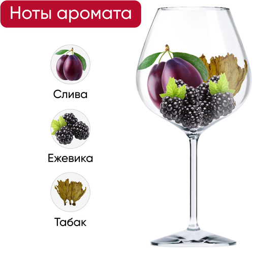 Вино TRADITIONAL WINE Саперави сортовое красное сухое, 2л, вид