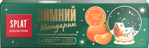 Зубная паста SPLAT Collection Зимний Мандарин, 75мл, вид