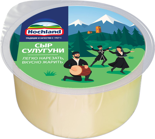 Сыр HOCHLAND Сулугуни 45%, без змж, 300г, фото