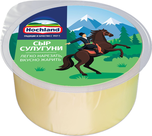 Сыр HOCHLAND Сулугуни 45%, без змж, 300г, вид