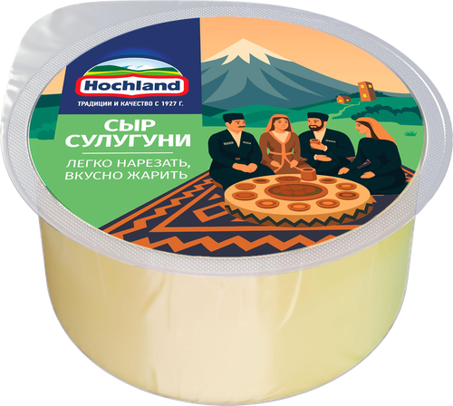 Сыр HOCHLAND Сулугуни 45%, без змж, 300г, фото