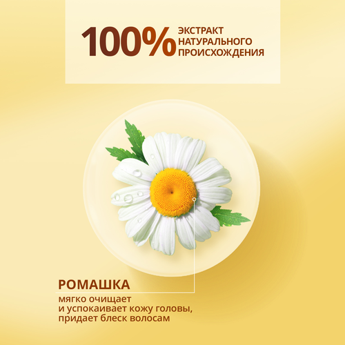 Шампунь для волос ШАУМА Для всей семьи, 650мл, крупный план