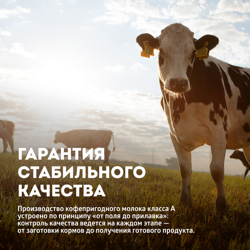 Молоко ультрапастеризованное ЭКОНИВА Профессиональная линия Professional Line 2,5%, без змж, 1000мл, фото