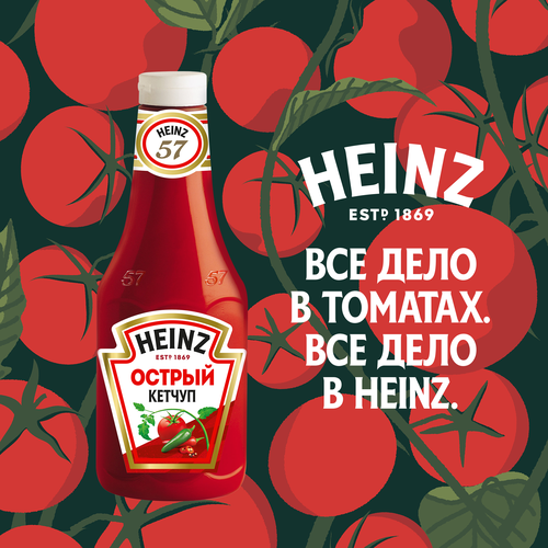 Кетчуп HEINZ Острый, 800г, изображение