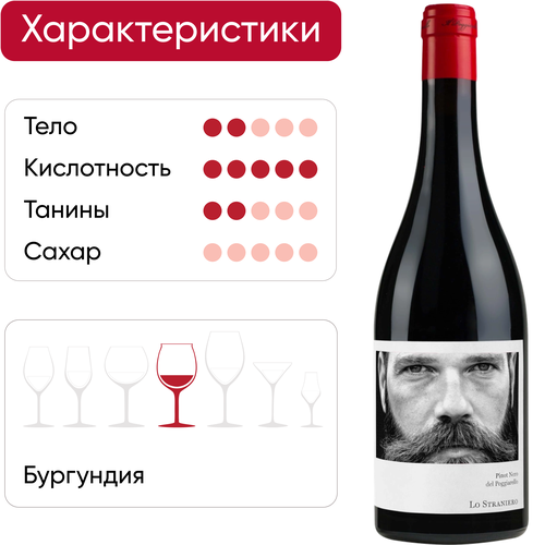 Вино LO STRANIERO Пино Неро дель Поджиарелло Эмилия-Романья красное сухое, 0.75л, крупный план