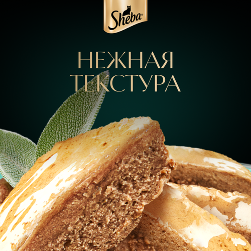 Корм консервированный для кошек SHEBA Нежный паштет в желе Индейка, 75г, фото